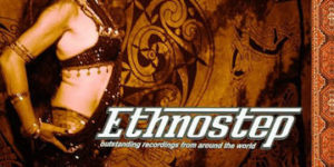 Ethnostep 2 album cover